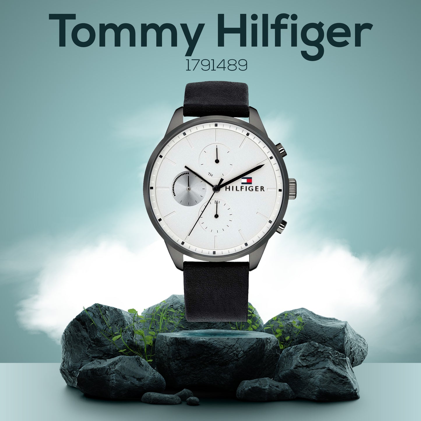 Montre Homme Tommy Hilfiger 1791489